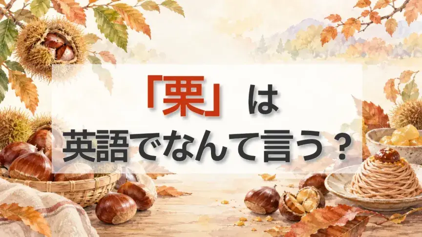 「栗」は英語でなんて言う？marronじゃないの？