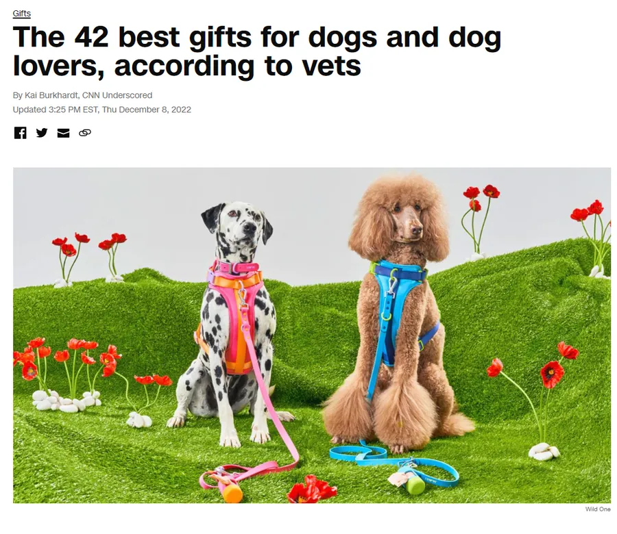 The 42 best gifts for dogs and dog lovers, according to vets