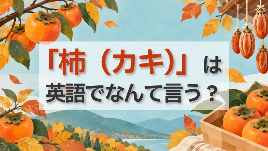 「柿（カキ）」は英語でなんて言う？persimmonだけじゃない？