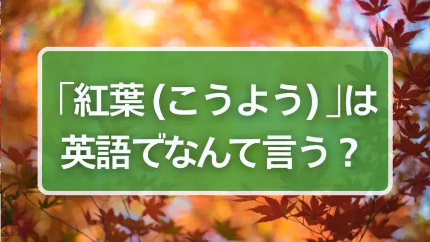 「紅葉（こうよう）」は英語でなんて言う？「紅葉狩り」の表現もチェック！
