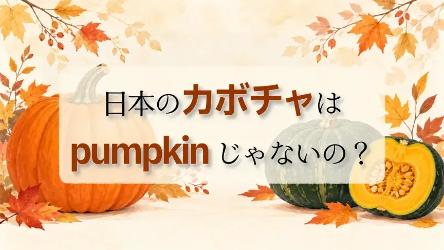 日本のカボチャはpumpkinじゃないの？英語ではなんて言う？