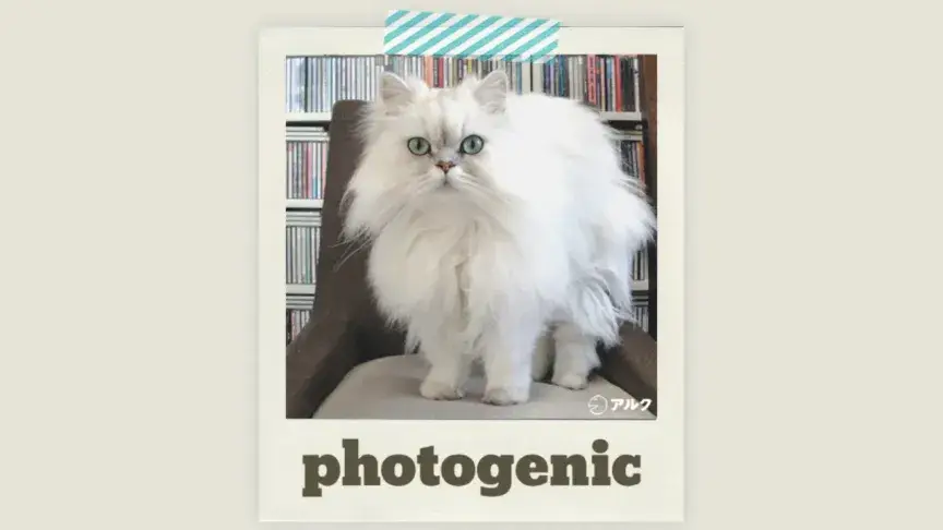 英語で「写真写りがいい」は何て言う？