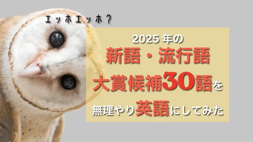 2025年の新語・流行語大賞候補30語を無理やり英語にしてみた