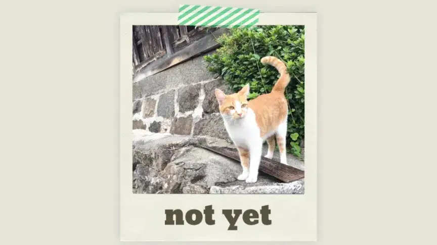 英語で「まだ〜していない」は何て言う？