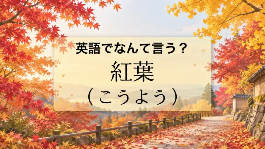 「紅葉（こうよう）」は英語でなんて言う？「紅葉狩り」の表現もチェック！