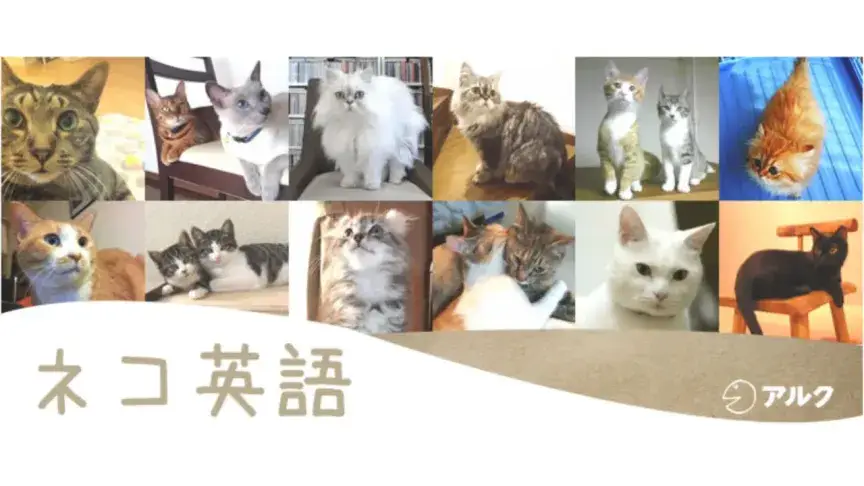 猫にやさしい企業アルクがお送りするネコ英語「2月22日はネコの日」スペシャル